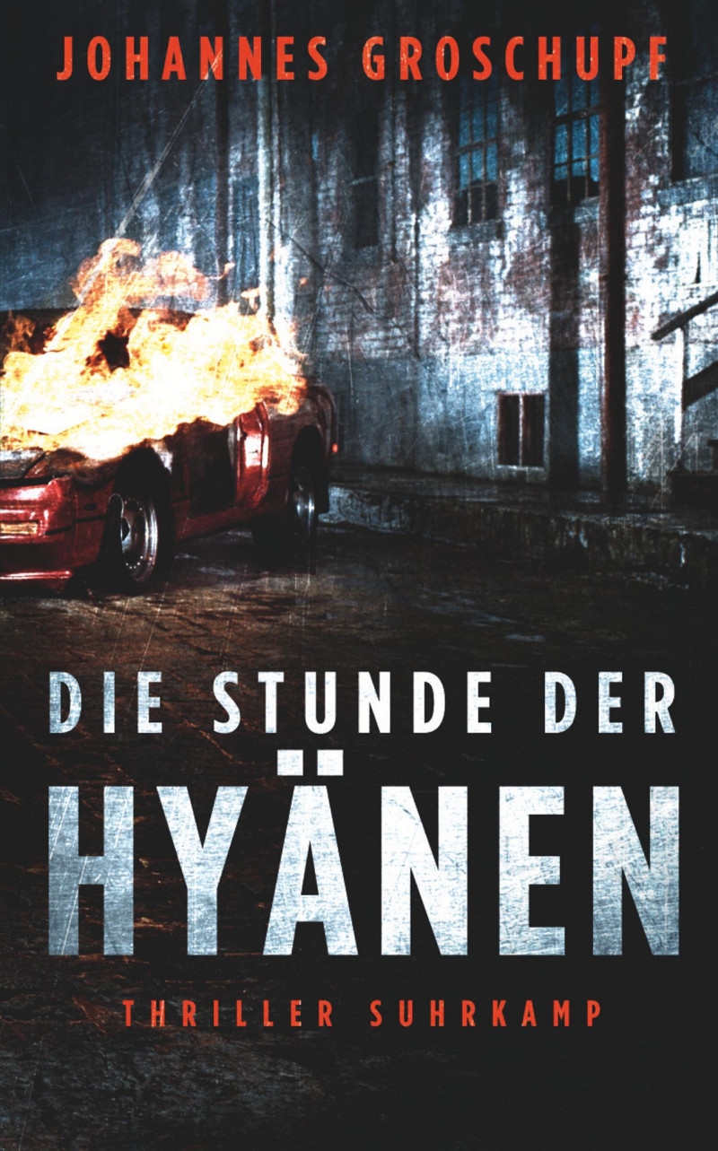 die-stunde-der-hyaenen_9783518473009_cover